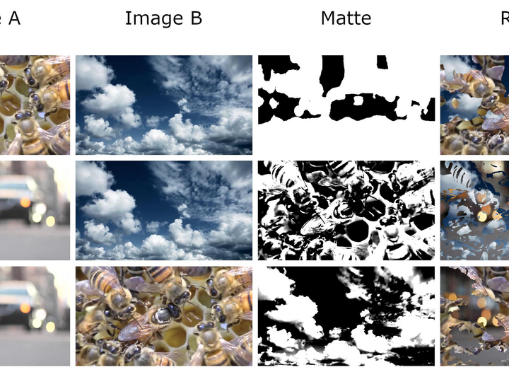 bipack still image